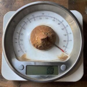 Converting 3750 grams to pounds: Essential insights and methods