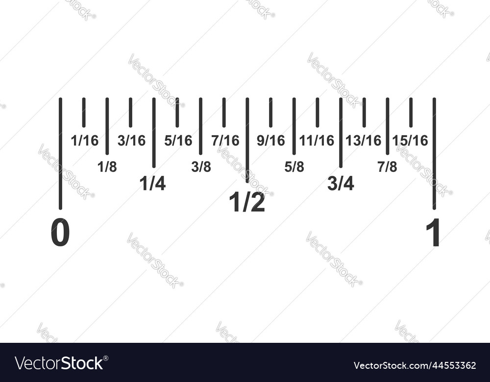 5.5 inch ruler