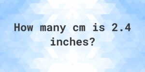55.2 cm to inches