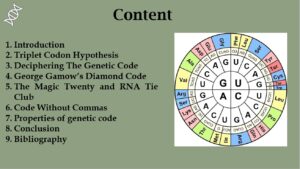 Deciphering the 16/40 Grade: A Clear Overview