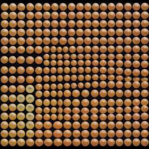 20 x 1.5