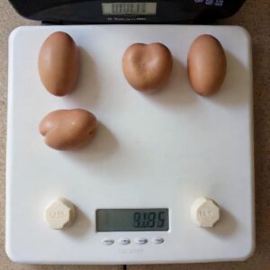 6.86 kg to us lbs