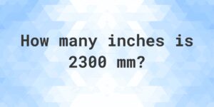 2300 mm in inches