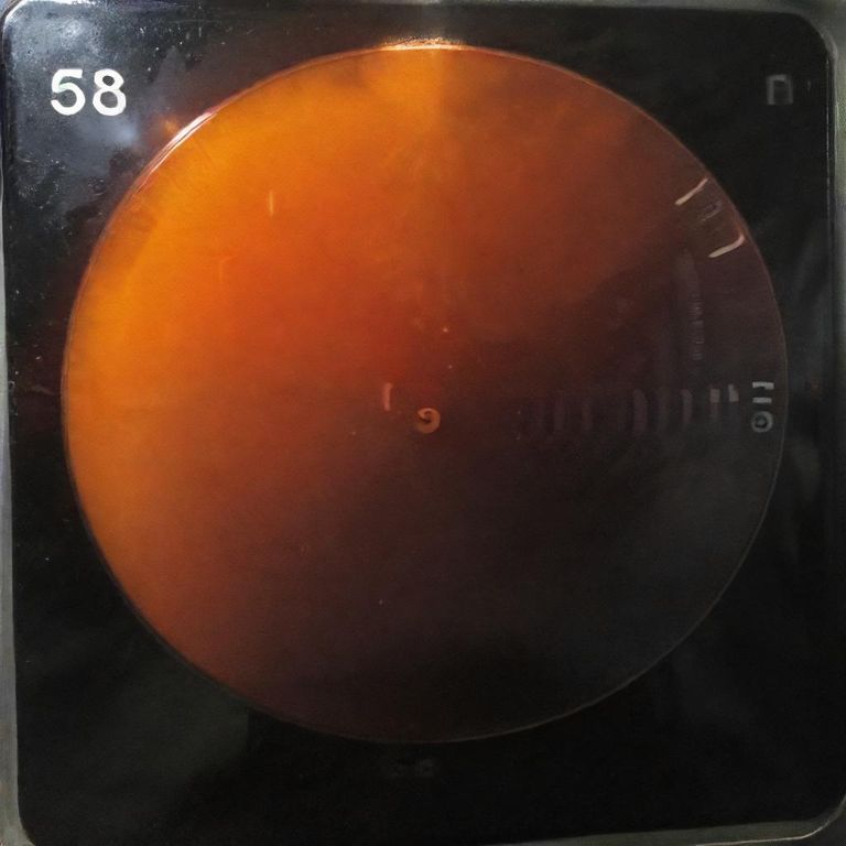 98.5 f in celsius