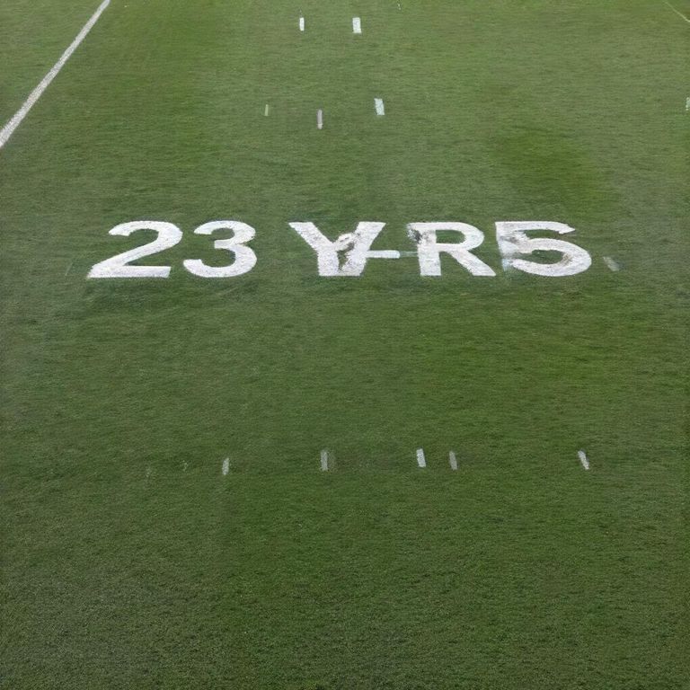 231 yards to feet