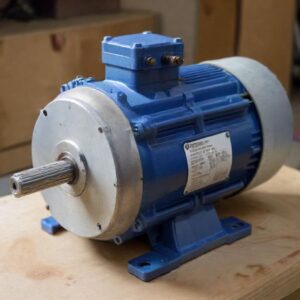 Exploring the Capabilities of an Electric Motor 1/3 HP