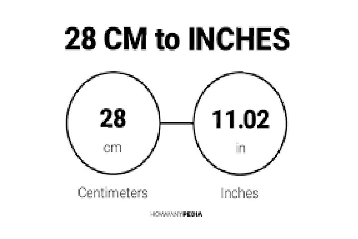 38.5 cm is how many inches
